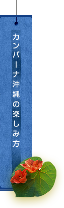 カンパーナ沖縄の楽しみ方