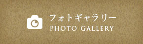 フォトギャラリー