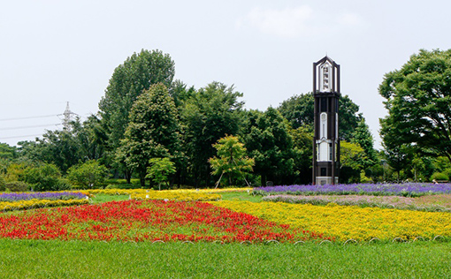 Kumamoto Zoo and Botanical Garden