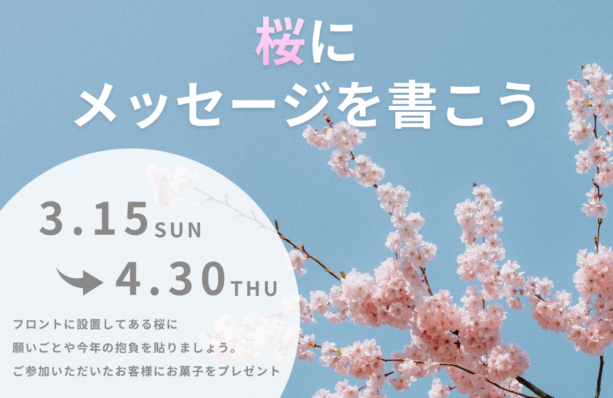 桜にメッセージを書こう｜3/15～4/30