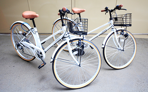 Bicycle rental