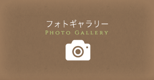 フォトギャラリー